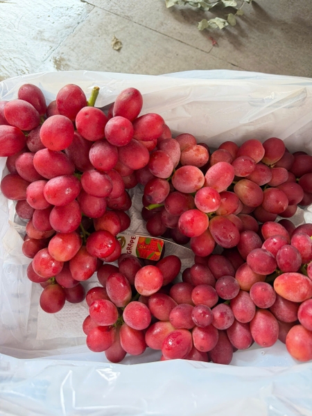 Nho kẹo vải