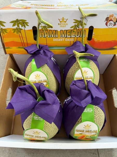 Dưa Đài Hami Melon