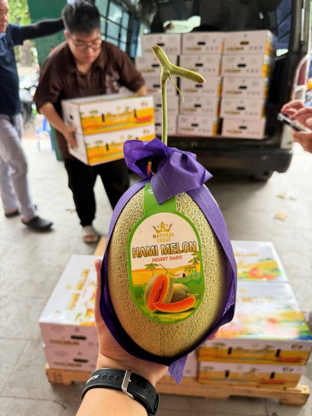 Dưa Đài Hami Melon