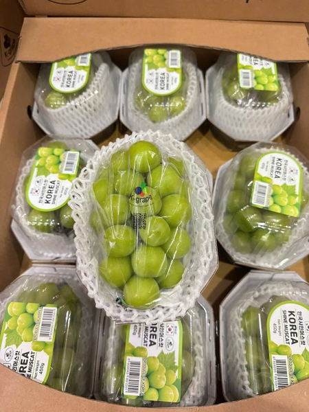 Nho mẫu đơn Hàn Quốc hộp 450g