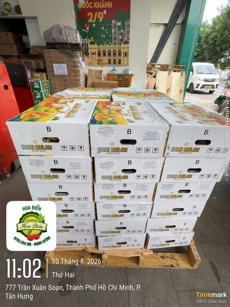 Dưa Đài Hami Melon
