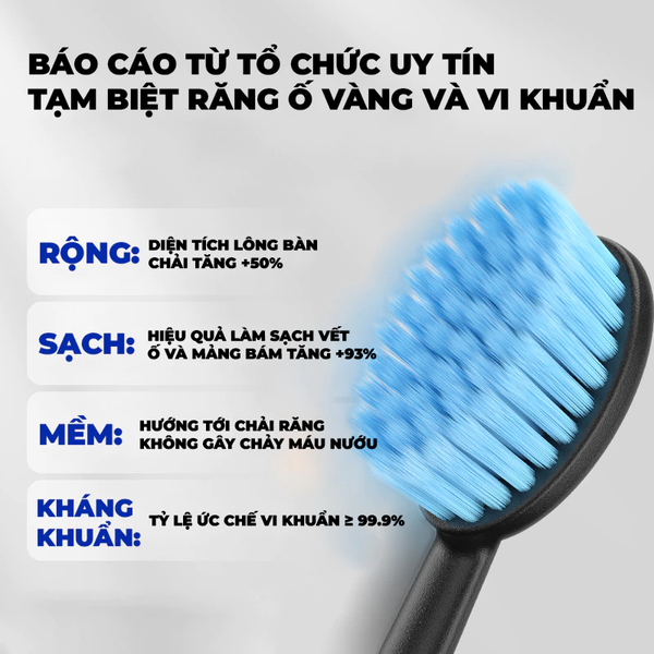 Bàn chải Royalead chuôi lỗ màu Be