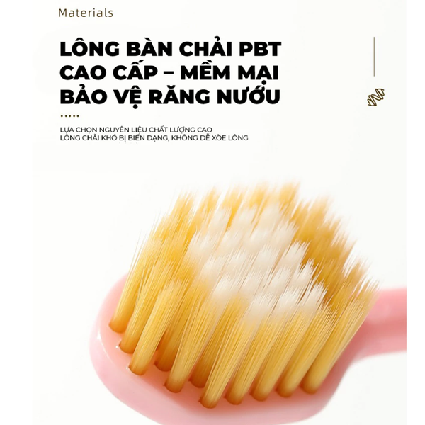 Bàn chải dây xoắn cao cấp, hộp đựng có giác hút kép - Xanh Đậm