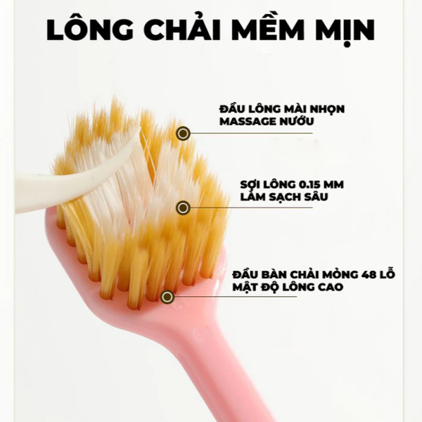 Bàn chải dây xoắn cao cấp, hộp đựng có giác hút kép - Vàng