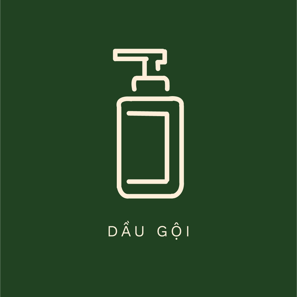 Dầu Gội