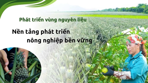 Novagri mở rộng vùng nguyên liệu tại Tây Nguyên