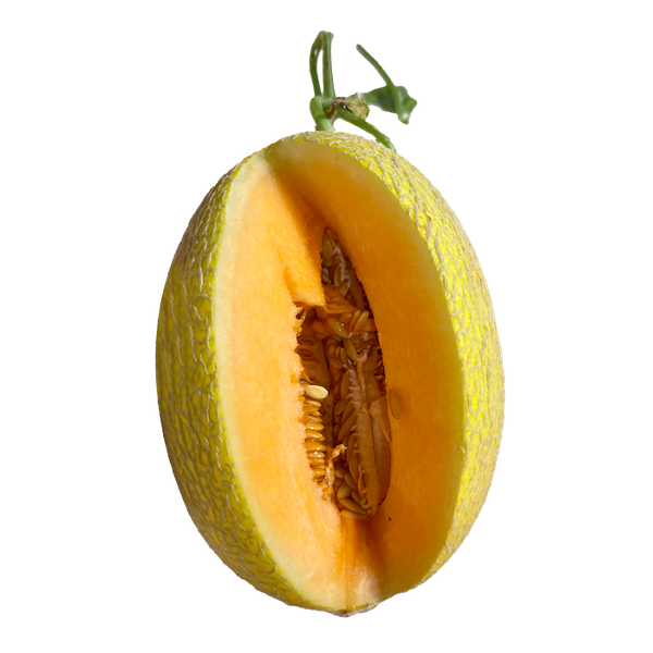 Dưa Lưới Ruột Vàng Miền Tây
