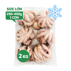 Bạch Tuộc Nguyên Con Làm Sạch Đông Lạnh Size Lớn 250-450g/Con Gói 2kg