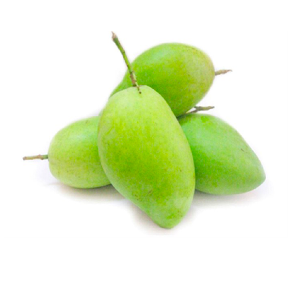 Xoài Cát Hoà Lộc Miền Tây