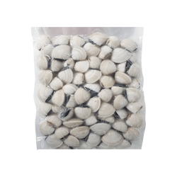 Nghêu Trắng Nguyên Vỏ Đông Lạnh Size 40 - 60 Con 1kg