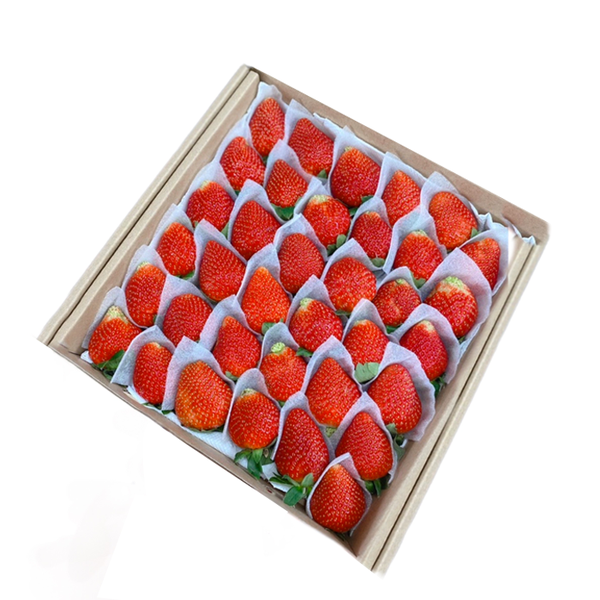 Dâu Tây Đà Lạt 500g (36 Trái/ Hộp)