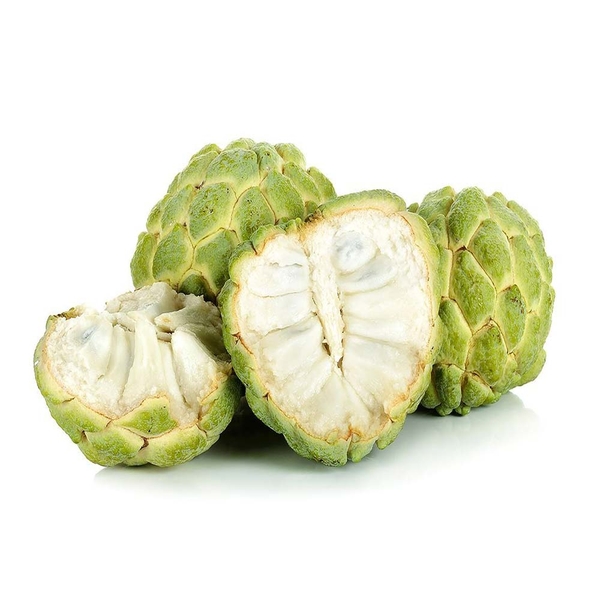 Mãng Cầu Ta Miền Tây