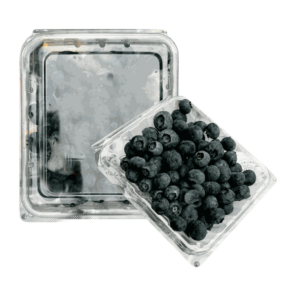 Việt Quất Mỹ Hộp 125g