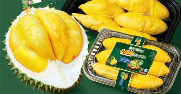 Cơm sầu riêng chín tự nhiên