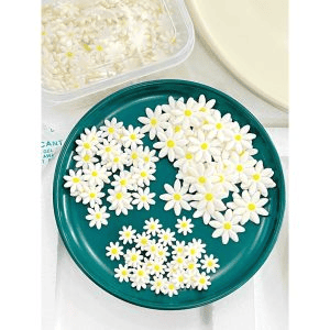 Kẹo Gum Hoa Decor Bánh (Hộp 100c)