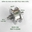 Ray H-inox 304