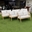 Tự nhiên
