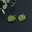Xanh