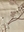ANC 1193 - 02: Botanical Cream