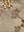 ANC 1193 - 04: Botanical Gold