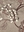 ANC 1193 - 05: Botanical Sage