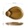 Brown - 05