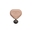 Desert Rose