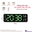 5503-VD-XLá Mix Trắng