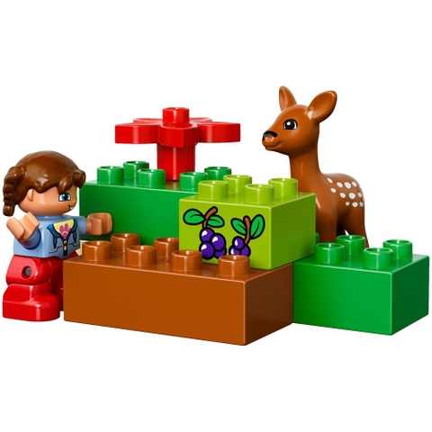 Các chi tiết Lego Duplo 10584 - Công Viên Hoang Dã mảnh ghép kích thước lớn