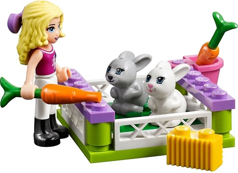Lego Friends 41039 - Trang Trại Rực Rỡ giúp phát triển trí tuệ cho bé