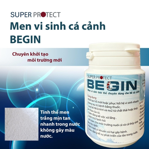 MEN VI SINH BEGIN