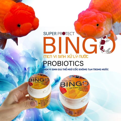 MEN VI SINH BINGO 50 GRAM