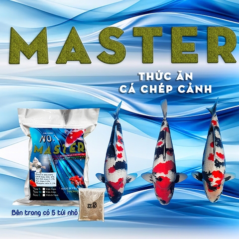 No.1 Master túi 5kg size L viên 6/7mm