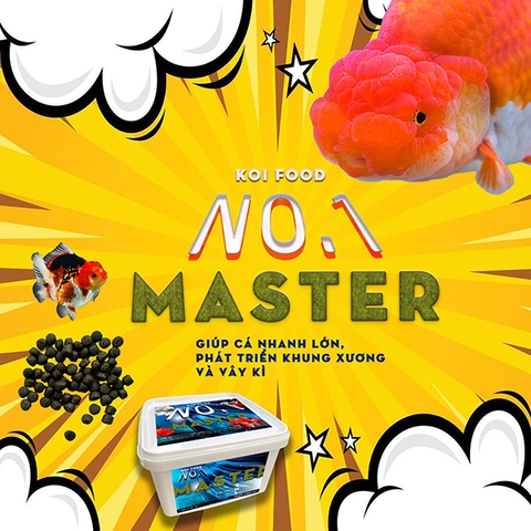 No.1 master hộp 1k size M viên 4mm tăng trưởng bung vây kỳ