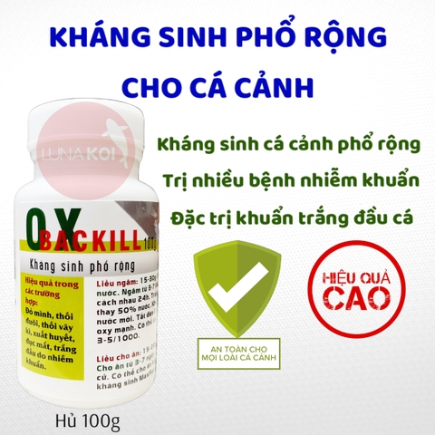 Kháng sinh OX-Backill đặc trị nhiễm khuẩn trắng đầu, đục mắt, lở loét, thối vây kì, thối vẩy, xuất huyết, đỏ mình cá Koi, cá cảnh