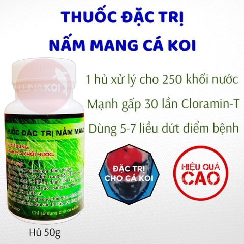 Thuốc đặc trị bệnh nấm mang cá Koi, phòng bệnh nấm mang cá Koi hiệu quả cao