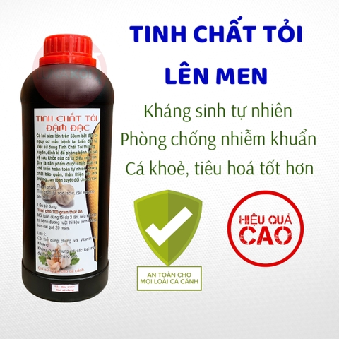 Tinh chất Tỏi lên men chống bệnh hiệu quả, tăng cường sức đề kháng cho cá Koi