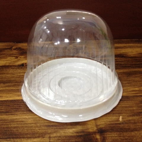 Hộp nhựa đựng bánh HH-24 nắp vòm