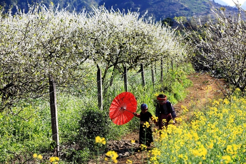 GIÁ VÉ CÁC ĐIỂM THAM QUAN Ở MỘC CHÂU