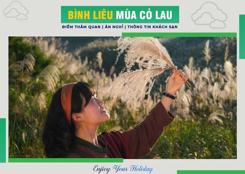 Mùa hoa cỏ lau Bình Liêu