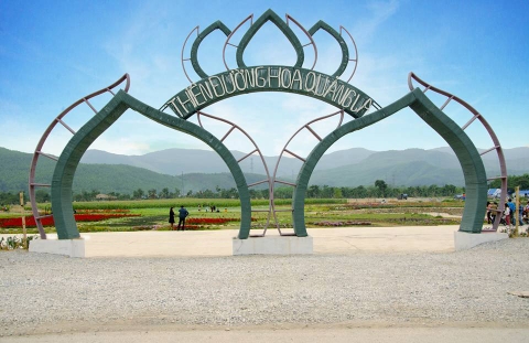 KINH NGHIỆM DU LỊCH THIÊN ĐƯỜNG HOA QUẢNG LA