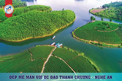 THÔNG TIN VỀ ĐẢO CHÈ THANH CHƯƠNG