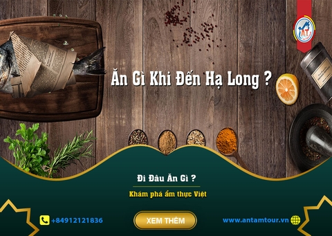 MÓN ĂN NHẤT ĐỊNH PHẢI THỬ KHI ĐẾN QUẢNG NINH | HẠ LONG