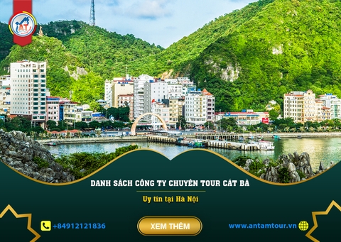 CÔNG TY CHUYÊN TỔ CHỨC TOUR CÁT BÀ UY TÍN