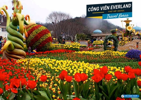 Công Viên Everland Hàn Quốc