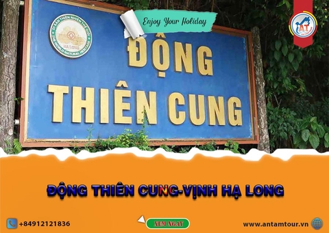 VẺ ĐẸP CỦA ĐỘNG THIÊN CUNG - VỊNH HẠ LONG