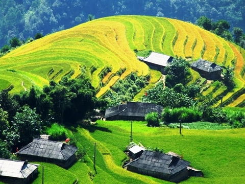 Di Sản Ruộng Bậc Thang Hoàng Su Phì