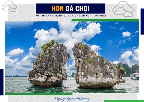 Hòn Gà Chọi Vịnh Hạ Long