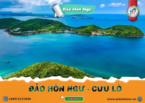 ĐẢO HÒN NGƯ