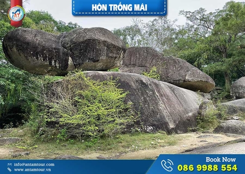Hòn Trống Mái - Sầm Sơn